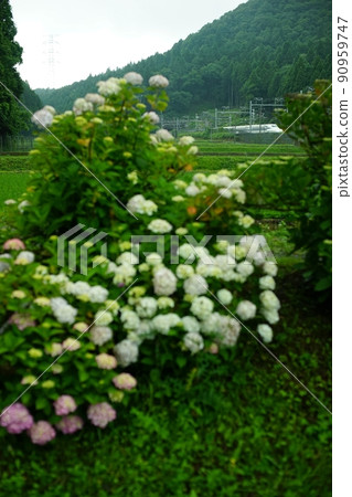 N700S series Shinkansen running in the rainy season Sekigahara 90959747