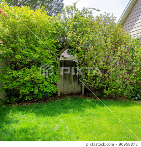 Square Side yard of a house with green plants and wooden gate 90959878
