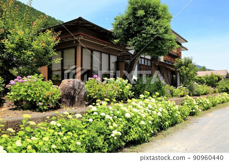 Strolling at the foot of Mt. Ikeda (Ariyayama Yugeji Temple), 95 (Ikeda Town, Ibi District, Gifu Prefecture) Strolling at the foot of Mt. Ikeda (Ariyayama Yugeji Temple), 95 (Ikeda Town, Ibi District, Gifu Prefecture) 90960440