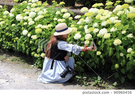 漫步池田山腳下（有谷山遊格寺）108（岐阜縣伊美區池田町） 90960456