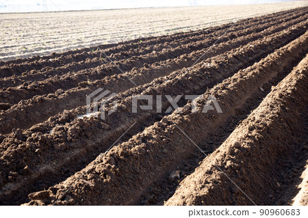 Furrows on ploughed field Furrows on ploughed field 90960683