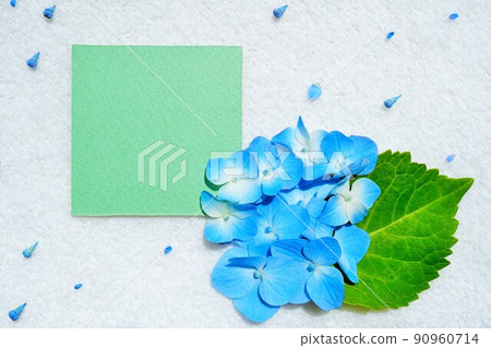 A mockup of a cute comment space with blue hydrangea flowers and buds on a white background with the image of rain A mockup of a cute comment space with blue hydrangea flowers and buds on a white background with the image of rain 90960714