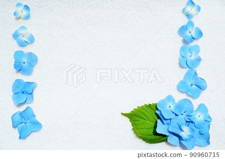 A gorgeous early summer frame with vertical blue hydrangea decorative flowers on a white background A gorgeous early summer frame with vertical blue hydrangea decorative flowers on a white background 90960715
