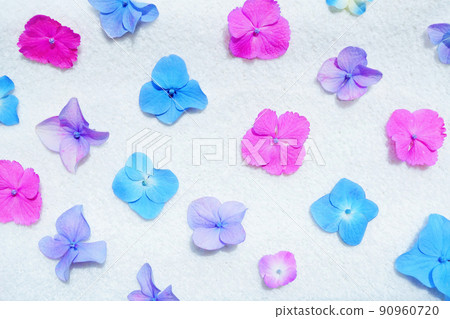 Cute pattern background material of early summer with several kinds of colorful hydrangeas lined up Cute pattern background material of early summer with several kinds of colorful hydrangeas lined up 90960720