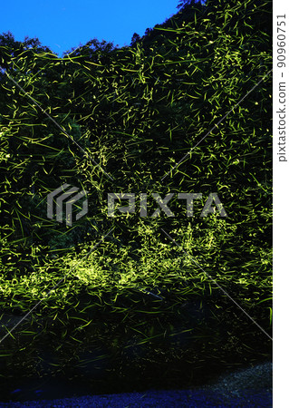 The riverside where fireflies dance The riverside where fireflies dance 90960751