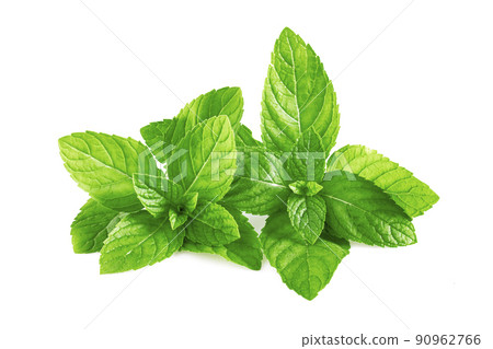 Mint leaves, mint leaves isolated on white background 90962766