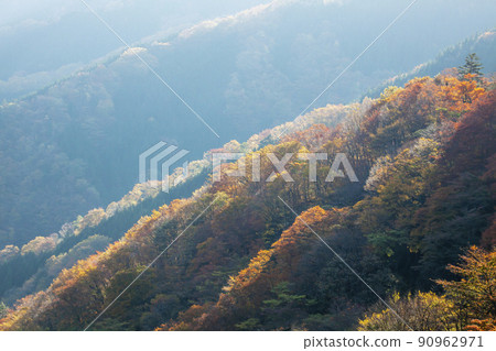 Mountains in late autumn, broad-leaved ridges, glittering landscapes in the morning sun Mountains in late autumn, broad-leaved ridges, glittering landscapes in the morning sun 90962971