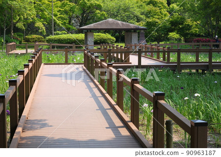 The ruins of Fukuoka Castle surrounded by greenery. Historical buildings such as stone walls and fences. Fukuoka Castle is located in Maizuru Park and Ohori Park. Fukuoka, Fukuoka, Japan The ruins of Fukuoka Castle surrounded by greenery. Historical buildings such as stone walls and fences. Fukuoka Castle is located in Maizuru Park and Ohori Park. Fukuoka, Fukuoka, Japan 90963187