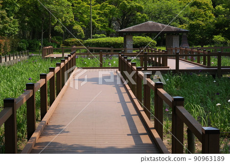 The ruins of Fukuoka Castle surrounded by greenery. Historical buildings such as stone walls and fences. Fukuoka Castle is located in Maizuru Park and Ohori Park. Fukuoka, Fukuoka, Japan The ruins of Fukuoka Castle surrounded by greenery. Historical buildings such as stone walls and fences. Fukuoka Castle is located in Maizuru Park and Ohori Park. Fukuoka, Fukuoka, Japan 90963189
