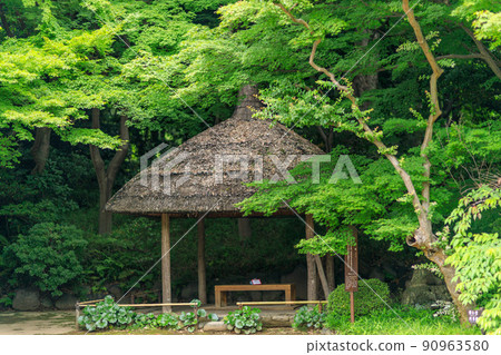 Scenery of Koishikawa Korakuen with a calm atmosphere colored by fresh green Scenery of Koishikawa Korakuen with a calm atmosphere colored by fresh green 90963580