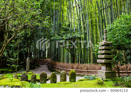 Hokokuji Temple, Kamakura, Kanagawa Prefecture-Bamboo Garden- 90964210