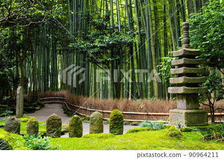 Hokokuji Temple, Kamakura, Kanagawa Prefecture-Bamboo Garden- 90964211