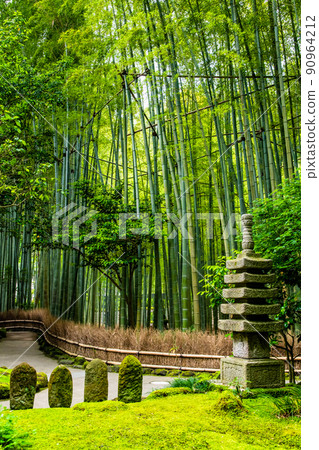 Hokokuji Temple, Kamakura, Kanagawa Prefecture-Bamboo Garden- 90964212