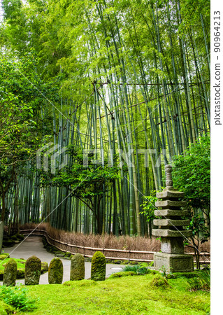 Hokokuji Temple, Kamakura, Kanagawa Prefecture-Bamboo Garden- 90964213