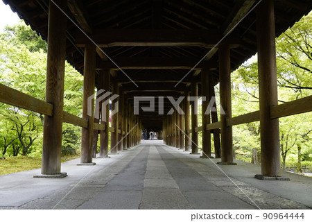 Tofukuji 90964444