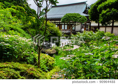 神奈川縣鎌倉市法國寺-庭園和大殿- 神奈川縣鎌倉市法國寺-庭園和大殿- 90964488