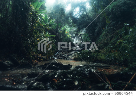 Waterfall in the tropical forest in the rainy season Waterfall in the tropical forest in the rainy season 90964544