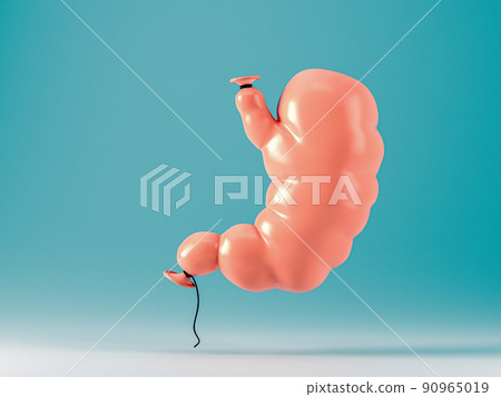 Human stomach made of pumped over balloon 90965019