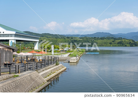 Fresh green and early summer image around Togo Pond 90965634