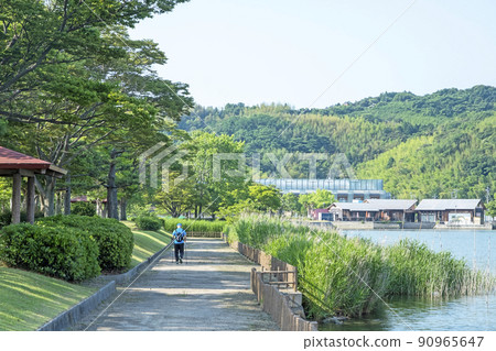 Fresh green and early summer image around Togo Pond 90965647