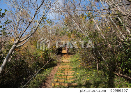 Dangsanbong, Oreum, 山, 視圖, 視圖, 天文台, 90966397