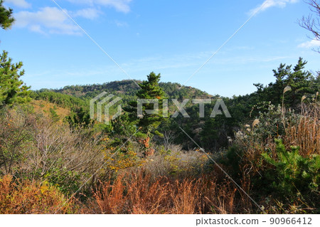 Dangsanbong, Oreum, Mountain, View, View, Observatory, Dangsanbong, Oreum, Mountain, View, View, Observatory, 90966412