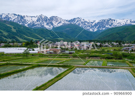 Reflection of rice field 90966900