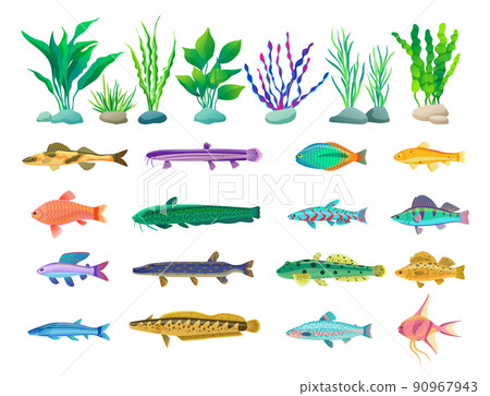 Various Algae and Marine Creatures Illustration 90967943