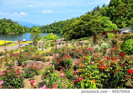 100 selections of fragrant landscapes certified by the Ministry of the Environment Higashizawa Park Rose Garden 100 selections of fragrant landscapes certified by the Ministry of the Environment Higashizawa Park Rose Garden 90970008