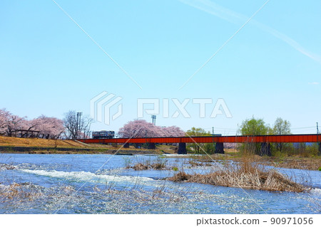 一排盛開的櫻花樹,清澈的融水,花長井線 一排盛開的櫻花樹,清澈的融水,花長井線 90971056