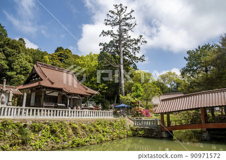東廣島市福成寺風景 90971572