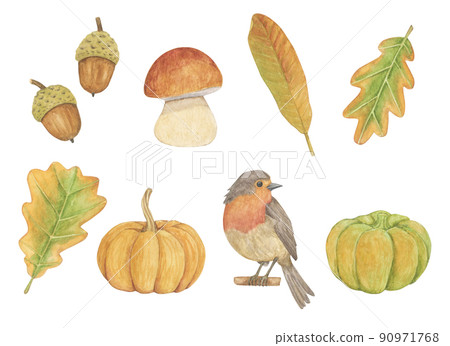 Watercolor set with autumn elements. Bird, pumpkin, leaves, mushroom and acorns isolated on a white background. 90971768