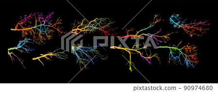 Tree colorful branches set. Vector illustration 90974680