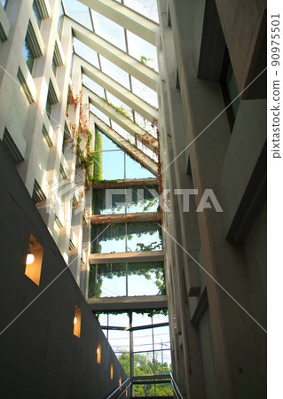Huge atrium covered with ivy at Shinshukan Community Center [Miyashiro Town, Saitama Prefecture] 90975501