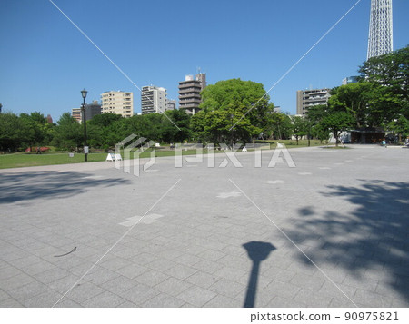 墨田公園（墨田區）廣場 90975821