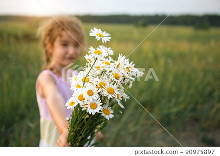 Portrait cute child girl with a bouquet of chamomile in summer on a green natural background. Happy child, hidden face, no face, covered with flowers. Copy space. Authenticity, rural life, 90975897
