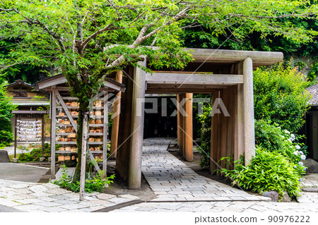 Zeniarai Benzaiten Ugafuku Shrine, Kamakura City, Kanagawa Prefecture-Torii group in the precincts- 90976222