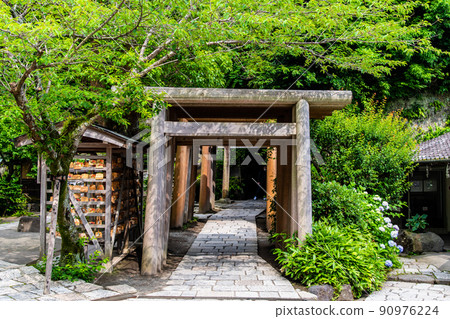 Zeniarai Benzaiten Ugafuku Shrine, Kamakura City, Kanagawa Prefecture-Torii group in the precincts- Zeniarai Benzaiten Ugafuku Shrine, Kamakura City, Kanagawa Prefecture-Torii group in the precincts- 90976224