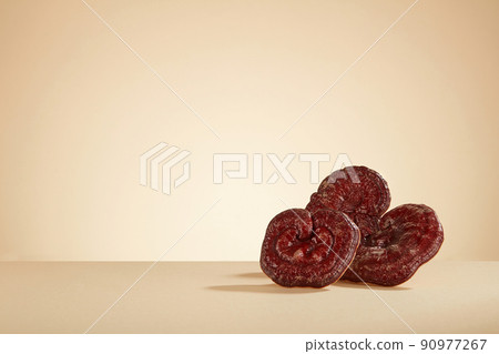 Front view of lingzhi mushroom in brown background  90977267