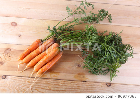 Carrots harvest Carrots harvest 90977365
