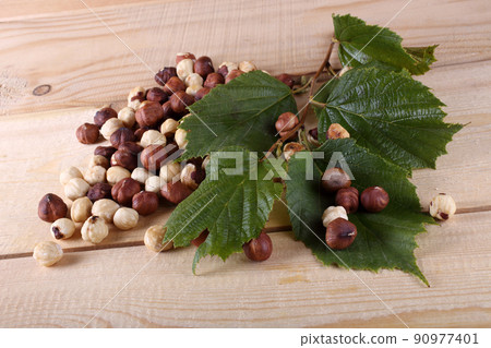 Hazelnuts on table 90977401