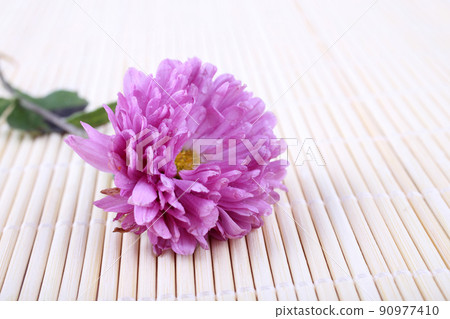 Chrysanthemum on bamboo background Chrysanthemum on bamboo background 90977410