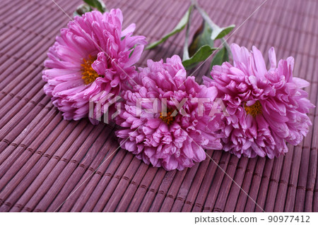 Chrysanthemum on bamboo background Chrysanthemum on bamboo background 90977412