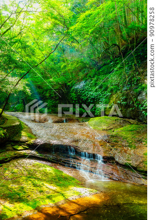 Gurikawa Valley（愛媛縣香椿市） 90978258