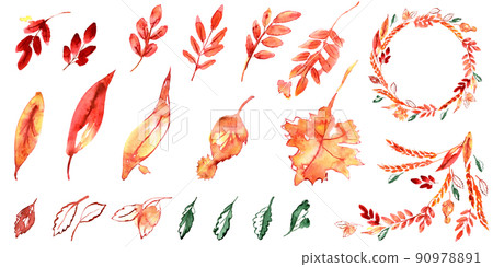 Watercolor hand painted autumn set. Leaves. High quality illustration 90978891