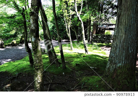 Tochigi Prefecture Nikko's full-blown pool Tochigi Prefecture Nikko's full-blown pool 90978913