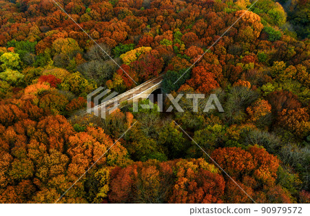 The bridge in the autumn forest is visible in the trees from a drone 90979572