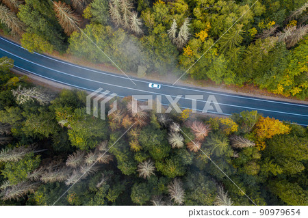 Aerial view of curvy road passing through the autumn forest, top view 90979654