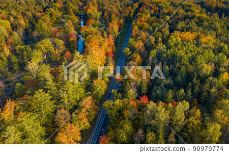 Top view of curvy road passing through the bright autumn forest 90979774