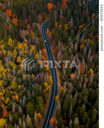 Top view of curvy road passing through the bright autumn forest Top view of curvy road passing through the bright autumn forest 90979843